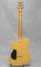 Asher Guitars T Deluxe / 2017_4