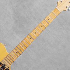 Asher Guitars T Deluxe / 2017_7