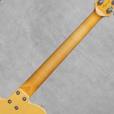 Asher Guitars T Deluxe / 2017_8
