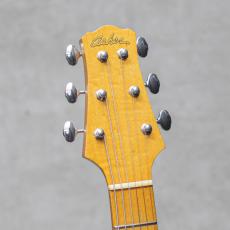 Asher Guitars T Deluxe / 2017_9