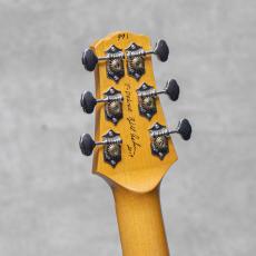 Asher Guitars T Deluxe / 2017_10