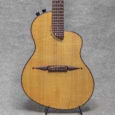 Rick Turner Renaissance RS-12 Spruce / Maple / 2001