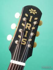 IRIS GUITAR COMPANY The MS-00 Model Tabacco Burst [Price Down!]_3