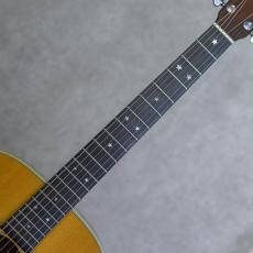 Martin D-76_7