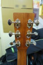 Cat's Eyes CE-62 EC_2