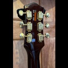 Gretsch G5235G Pro Jet_6