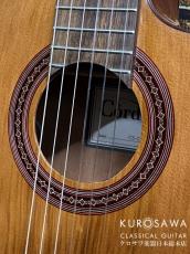 Cordoba コルドバ C5-CE【日本総本店2F 在庫品】_3