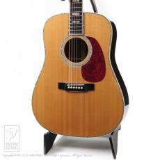 Martin D-45 