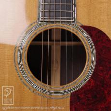 Martin D-45 _12