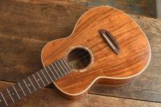 aNueNue Tenor aNN-AAA3E