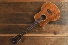aNueNue Tenor aNN-AAA3E_2