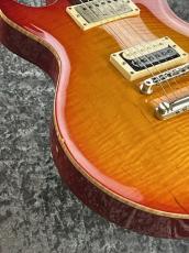 ESP 【特選中古】助六 -Cherry- 【2006'USED】【Ken Yokoyama】_9