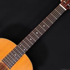 Martin D12-20 (1965)_9