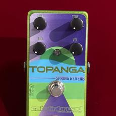 catalinbread Topanga GREEN 【山野楽器・関西限定カラー】【Fender 6G15リバーブユニットを再現】【未展示保管】_4