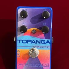 catalinbread Topanga BLUE 【山野楽器・関西限定カラー】【Fender 6G15リバーブユニットを再現】【未展示保管】_4