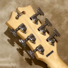 D'Angelico Premier Series Premier Bedford, Black Flake_5
