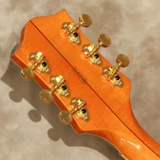 Gretsch G6120T-55 VS Vintage Select Edition '55 Chet Atkins_5