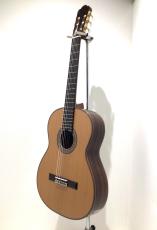 ASTURIAS CUSTOM C(650)スーパーライトケースセット_2