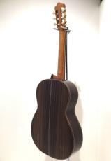 ASTURIAS CUSTOM S(650)スーパーライトケースセット_6