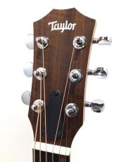 Taylor GS mini_3