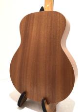 Taylor GS mini_5