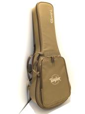 Taylor GS mini_9
