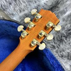 Gibson Songbird Deluxe 2002_11