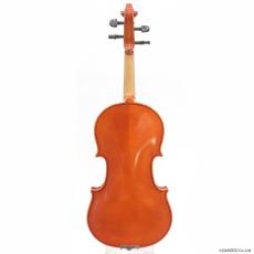 Eastman VL80 Set 3/4Size 2023年製_3