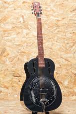 Epiphone Dobro Hound Dog M-14 Metal Body_3