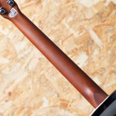 Epiphone Dobro Hound Dog M-14 Metal Body_7