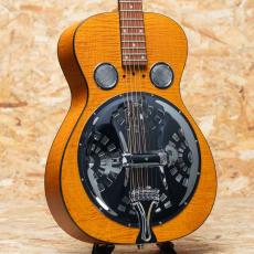 Epiphone Dobro Hound Dog Deluxe Round Neck