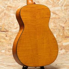 Epiphone Dobro Hound Dog Deluxe Round Neck_2