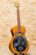 Epiphone Dobro Hound Dog Deluxe Round Neck_3
