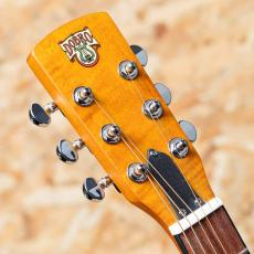 Epiphone Dobro Hound Dog Deluxe Round Neck_4