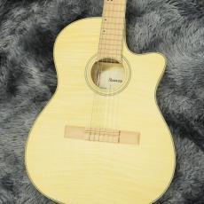 Ibanez GA39TCE-NTF (Natural Flat) 【特価】【SPOTモデル】【エレガット】