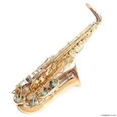 YANAGISAWA アルトサックス A-WO2