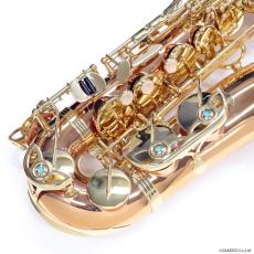 YANAGISAWA アルトサックス A-WO2_2