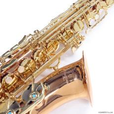 YANAGISAWA アルトサックス A-WO2_3