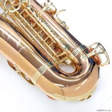 YANAGISAWA アルトサックス A-WO2_6