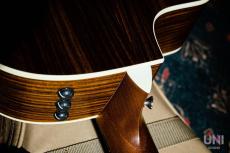 Taylor 214ce  / 2012_7