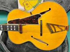 D'Angelico Excel Style B Amber_2