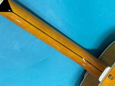 D'Angelico Excel Style B Amber_8