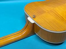 D'Angelico Excel Style B Amber_9