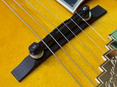 D'Angelico Excel Style B Amber_10