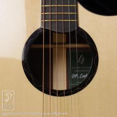 LSY Guitars OM Cutaway(Cocobolo)_13