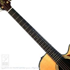 Takamine DMP500CMAD-DC_5
