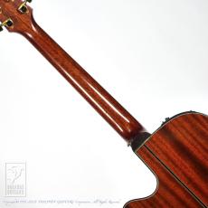 Takamine DMP500CMAD-DC_6