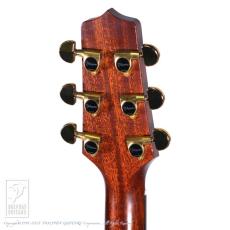 Takamine DMP500CMAD-DC_8
