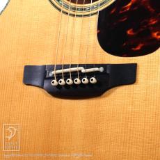 Takamine DMP500CMAD-DC_12