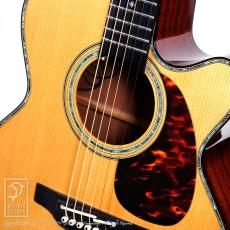 Takamine DMP500CMAD-DC_13